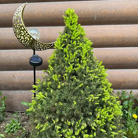 як вдома Гостевой дом Буковель