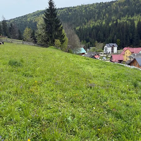 як вдома Буковель