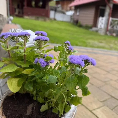 Гостевой дом як вдома 3*