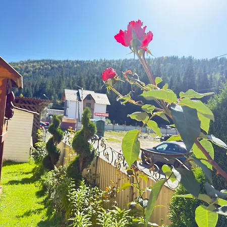 як вдома Гостевой дом Буковель